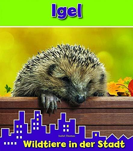 Igel - Wildtiere in der Stadt