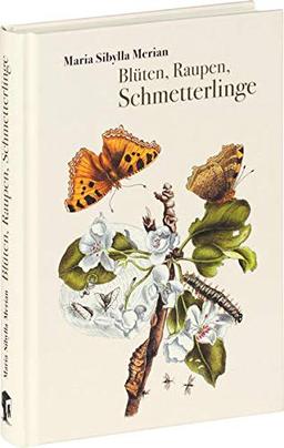 Blüten, Raupen, Schmetterlinge: Der Raupen wunderbare Verwandelung und sonderbare Blumen-nahrung. Erster und zweiter Teil.