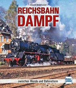 Reichsbahn-Dampf: zwischen Wende und Bahnreform