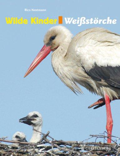 Wilde Kinder: Weißstörche