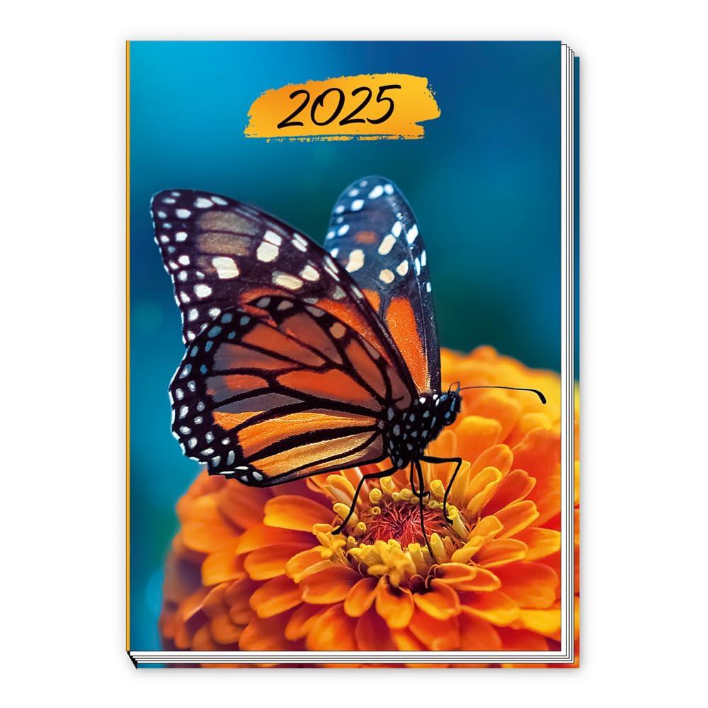 Trötsch Taschenkalender A7 Schmetterling 2025: Mini-Terminkalender