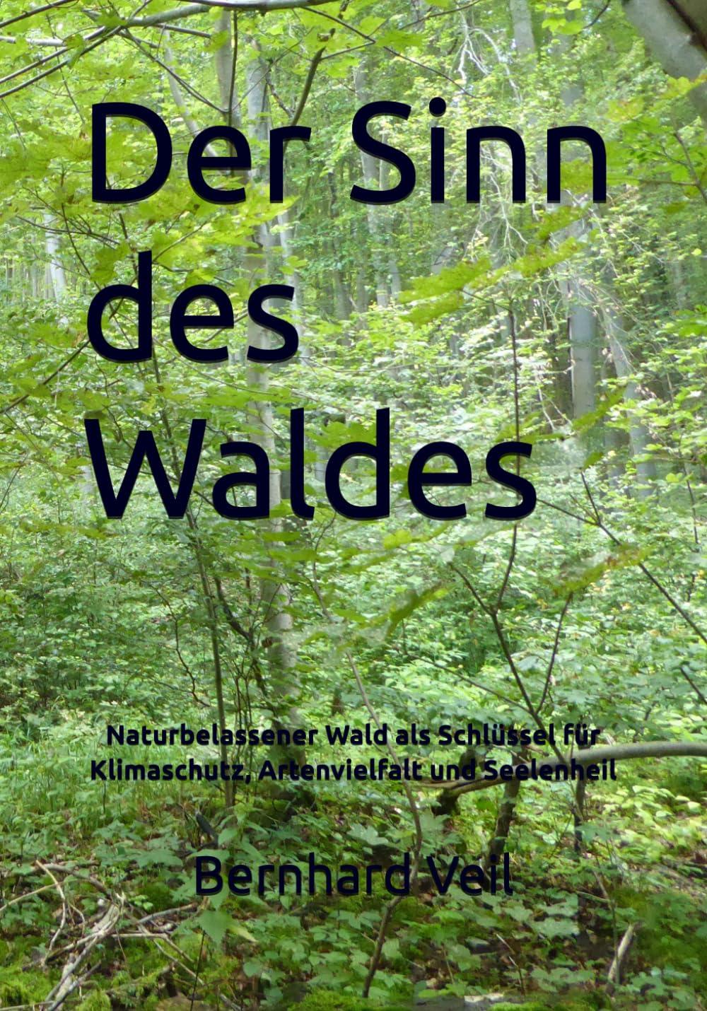 Der Sinn des Waldes: Naturbelassener Wald als Schlüssel für Klimaschutz, Artenvielfalt und Seelenheil