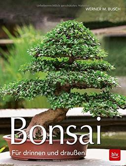 Bonsai: Für draußen und drinnen