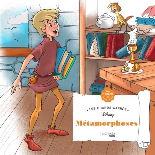 Métamorphoses : 46 coloriages