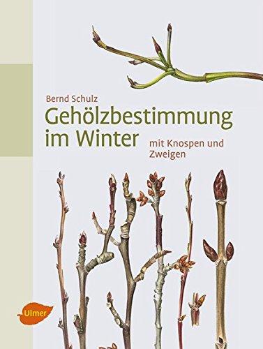 Gehölzbestimmung im Winter: mit Knospen und Zweigen