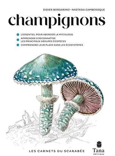 Champignons : l'essentiel pour aborder la mycologie, apprendre à reconnaître les principaux groupes d'espèces, comprendre leur place dans les écosystèmes