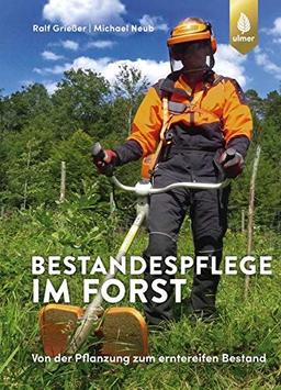 Bestandespflege im Forst: Von der Pflanzung zum erntereifen Bestand