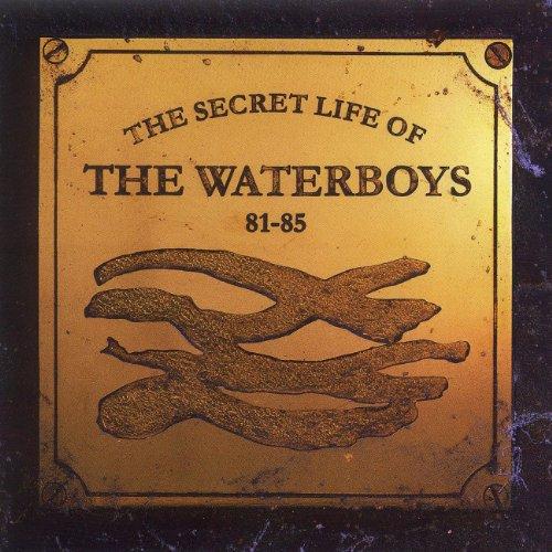 Secret Life of the Waterboys