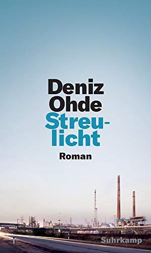 Streulicht: Roman