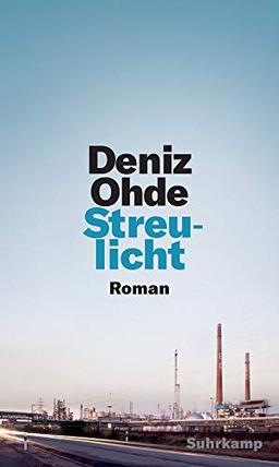 Streulicht: Roman