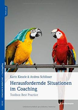 Herausfordernde Situationen im Coaching: Toolbox Best Practice