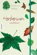 Herbarium Laubbäume