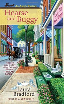 Hearse and Buggy (An Amish Mystery, Band 1)