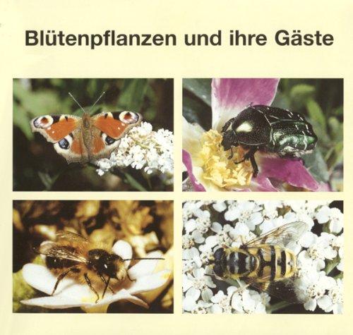 Blütenpflanzen und ihre Gäste