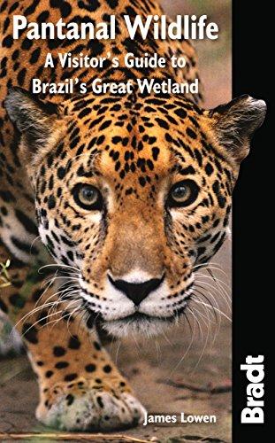 Pantanal Wildlife: A Visitor's Guide to Brazil's Great Wetland (Bradt Wildlife Explorer)