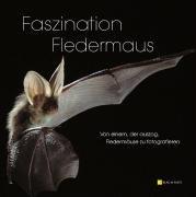 Faszination Fledermaus : Von einem der auszog, Fledermäuse zu fotografieren