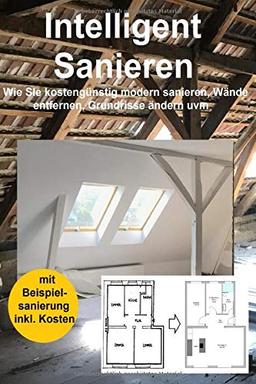 Intelligent Sanieren 2. Auflage: Wie Sie kostengünstig modern sanieren, Wände entfernen, Grundrisse ändern uvm.