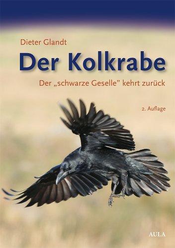 Der Kolkrabe: Der "schwarze Geselle" kehrt zurück