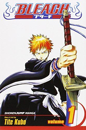 Bleach Volume 1