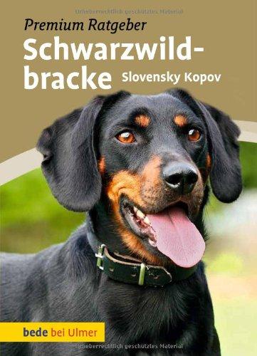 Schwarzwildbracke: Slovensky Kopov