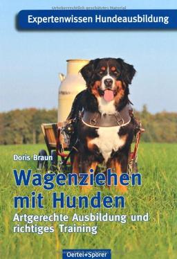 Wagenziehen mit Hunden: Artgerechte Ausbildung und richtiges Training