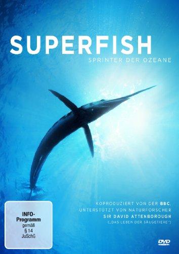 Superfish - Sprinter der Ozeane. Schwertfisch und Marlin