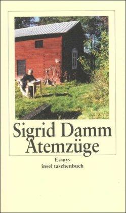 Atemzüge. Essays