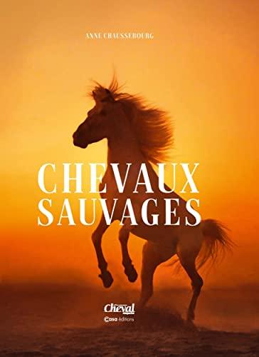 Chevaux sauvages