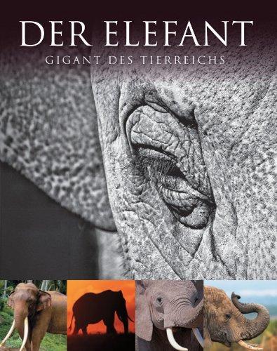 Abenteuer Wildnis. Der Elefant: Gigant des Tierreichs