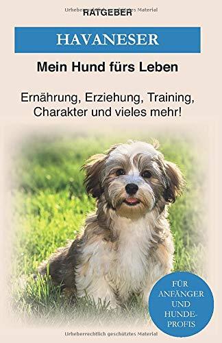 Havaneser: Havaneser Erziehung, Ernährung, Charakter und vieles mehr! — Das Havaneser Buch