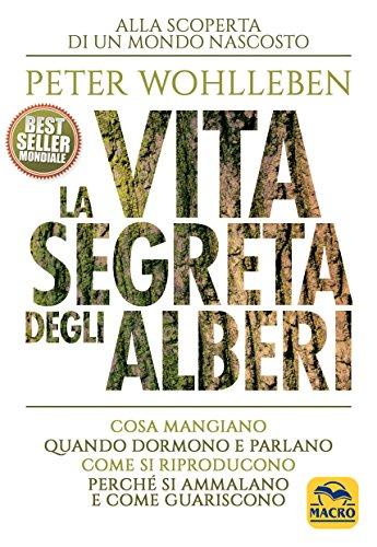 La vita segreta degli alberi