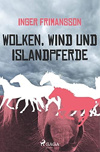 Wolken, Wind und Islandpferde