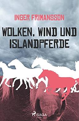 Wolken, Wind und Islandpferde