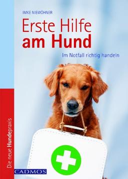 Erste Hilfe am Hund: Im Notfall richtig handeln