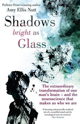 Shadows Bright as Glass: The Extraordinary Transformation of One Man's Brain - and the Neuroscience that Makes Us Who We Are