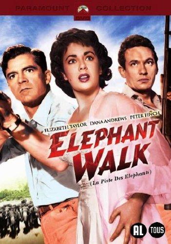 La Piste des Elephants - DVD