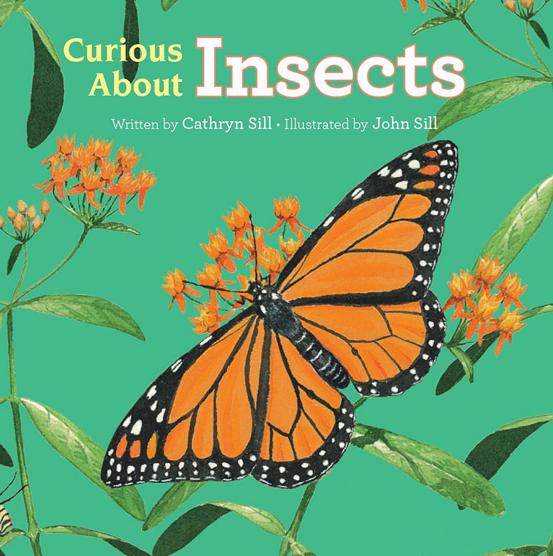 Curious About Insects (Discovering Nature, Band 3)