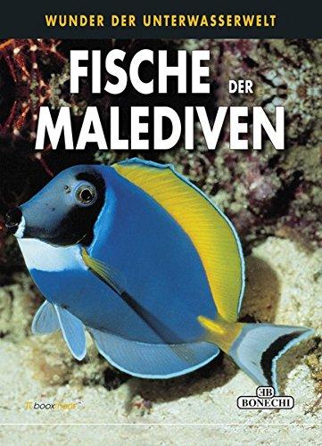 Fische der Malediven: Wunder der Wasserwelt