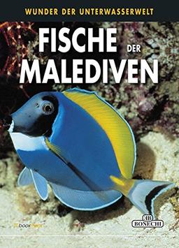 Fische der Malediven: Wunder der Wasserwelt