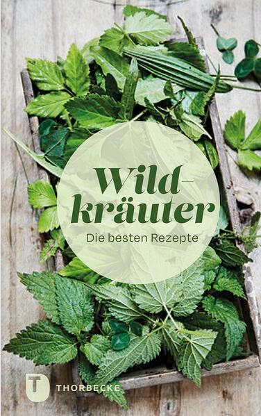 Wildkräuter: Die besten Rezepte