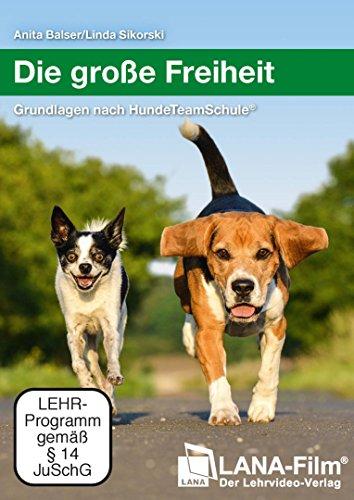 Die große Freiheit: Grundlagen nach HundeTeamSchule®