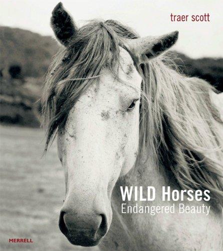 Wild Horses: Endangered Beauty