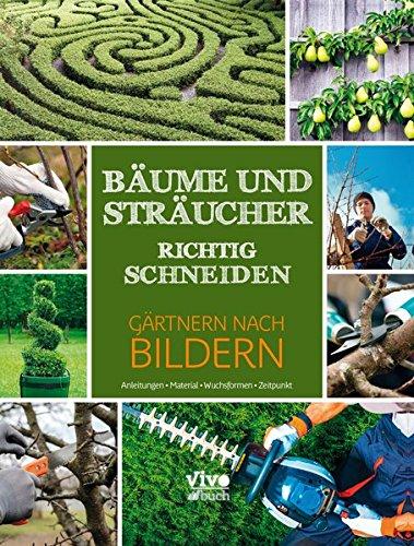 Bäume und Sträucher richtig schneiden