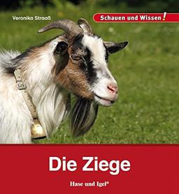 Die Ziege: Schauen und Wissen!