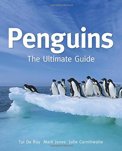 Penguins: The Ultimate Guide