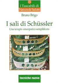 I sali di Schüssler. Una terapia omeopatica semplificata (I tascabili di Natura e salute)