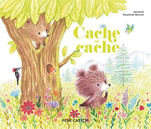 Cache-cache