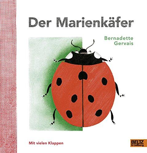 Der Marienkäfer