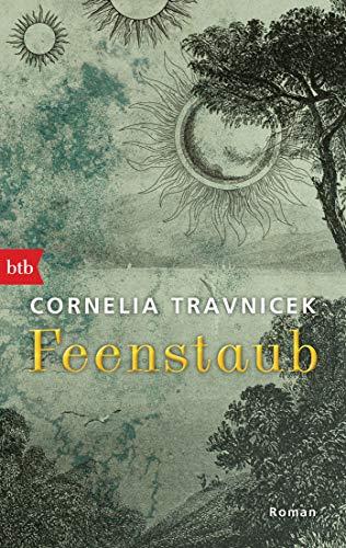 Feenstaub: Roman