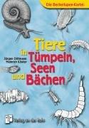 Tiere in Tümpeln, Seen und Bächen